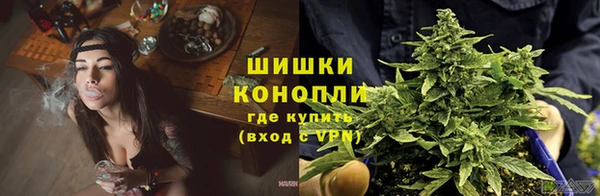 дживик Алзамай