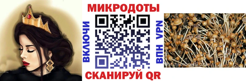 Псилоцибиновые грибы MAGIC MUSHROOMS  Бердск 