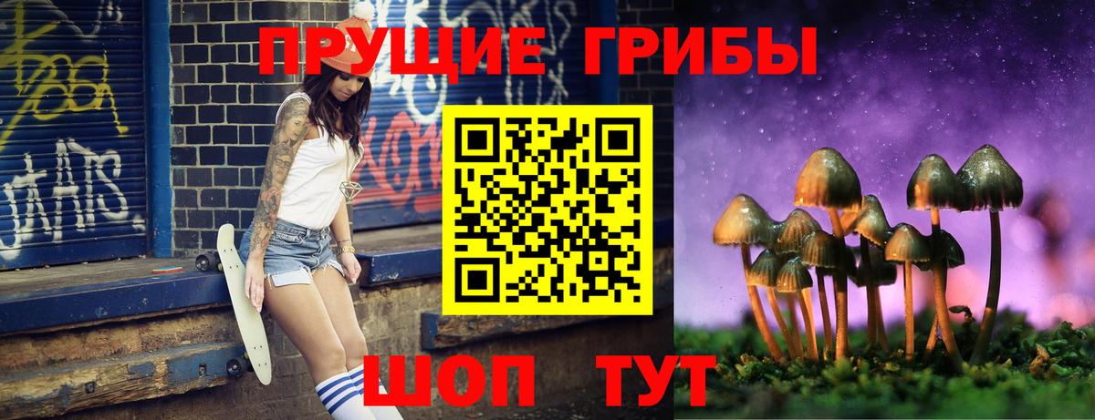 купить   Вход с VPN  Бердск  Галлюциногенные грибы MAGIC MUSHROOMS 